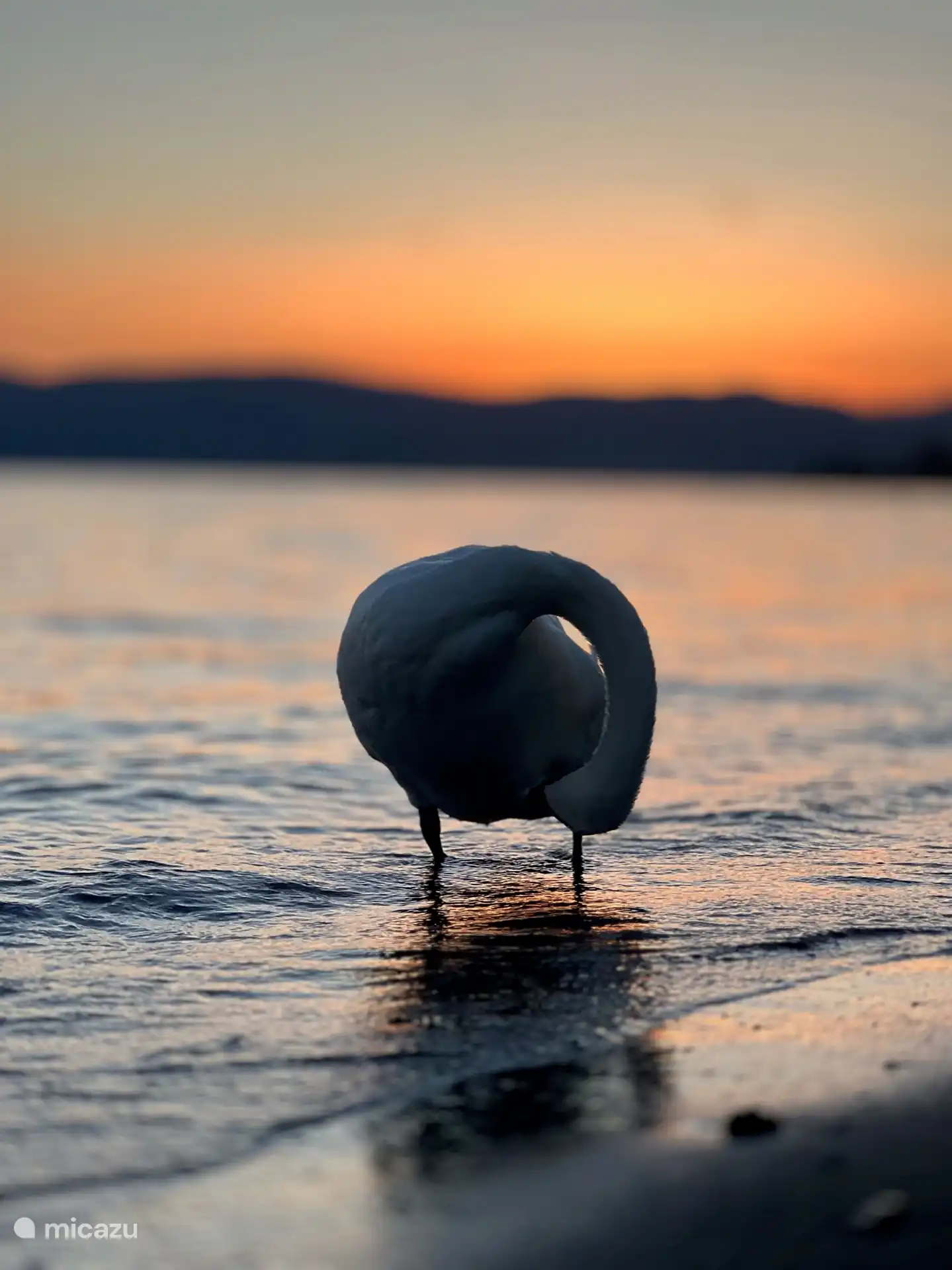 Nur einen kurzen Spaziergang von der Altstadt entfernt... Und Sie werden das finden.
Der Bracciano-See, der vom Guardian als einer der schönsten Seen Europas bezeichnet wurde, ist ein friedliches Juwel inmitten der Natur.
