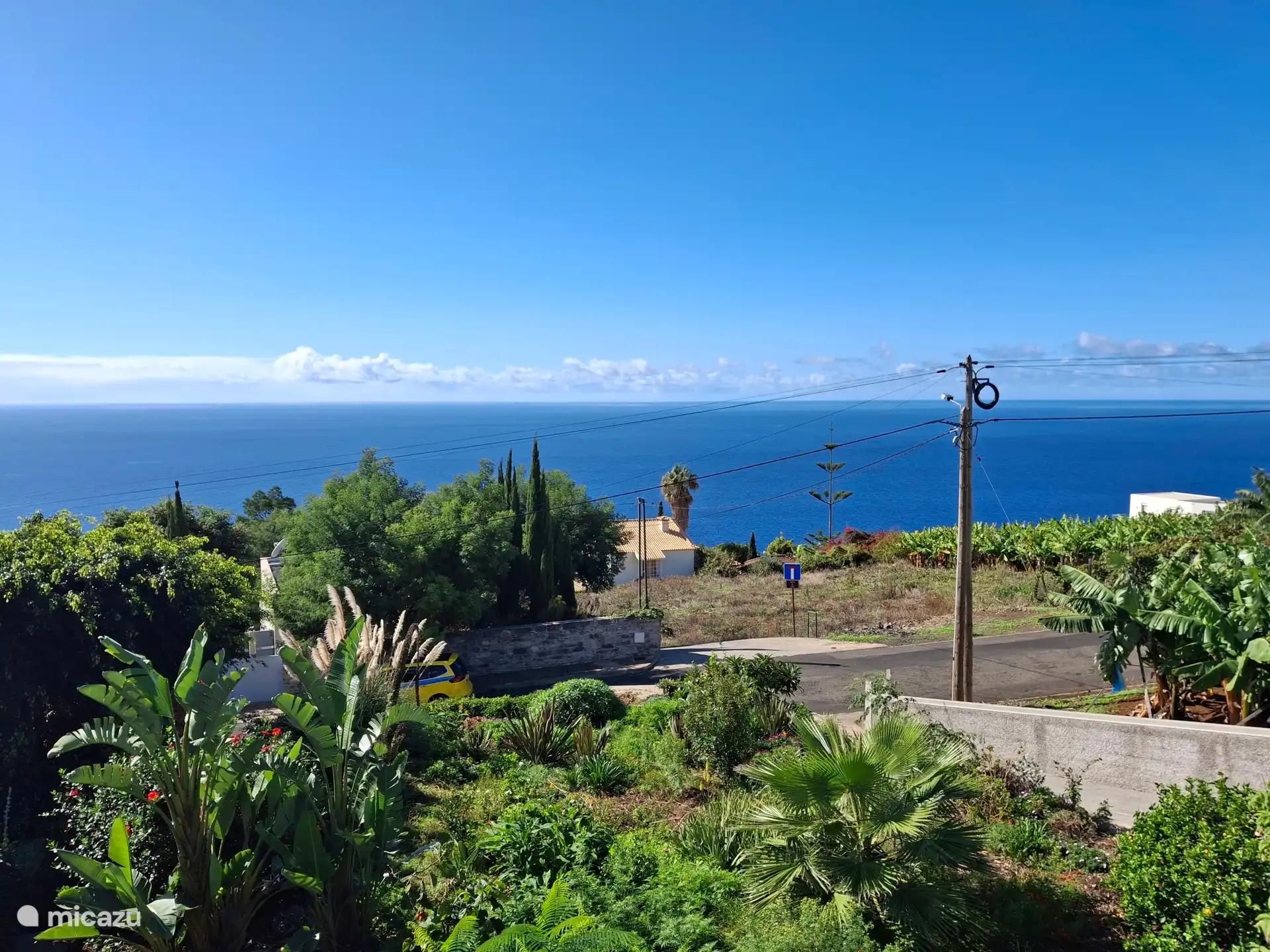Blick von der Südterrasse