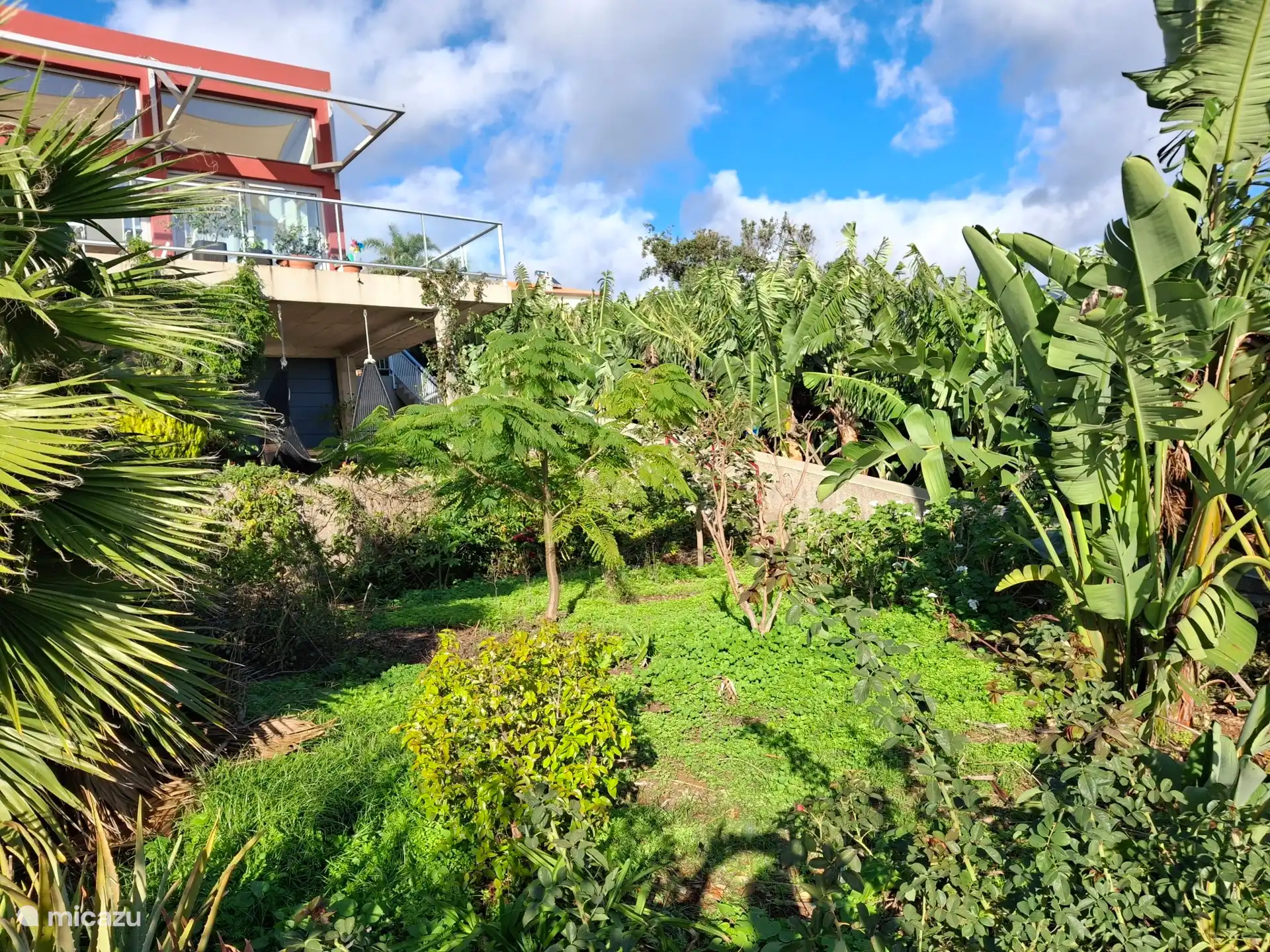 Blick vom Garten bis zum Haus