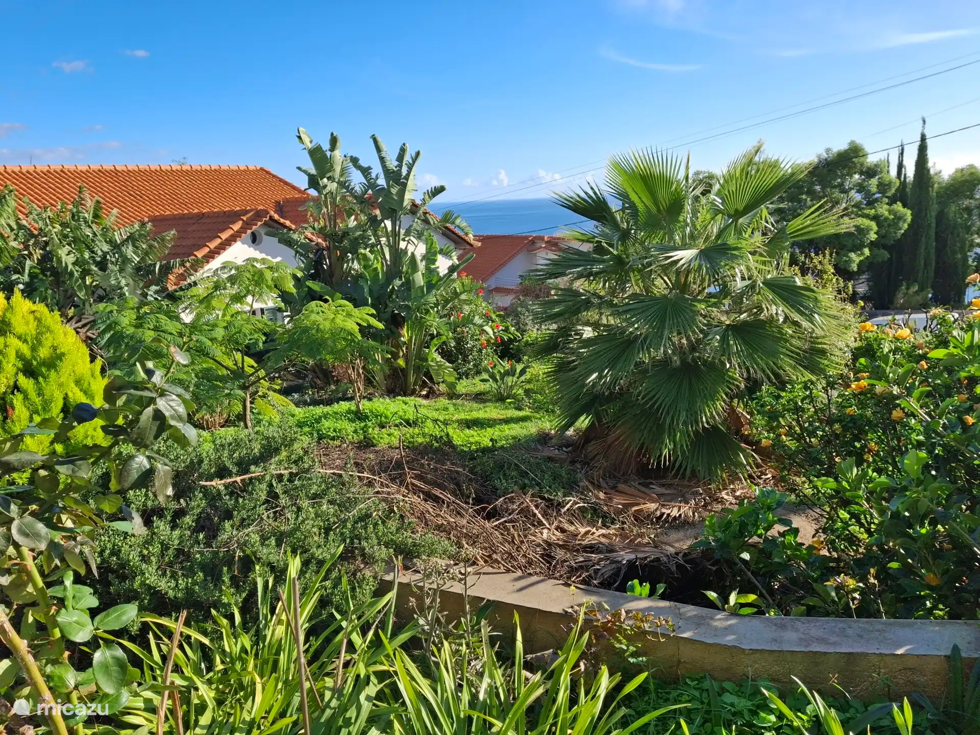 Blick auf den Garten