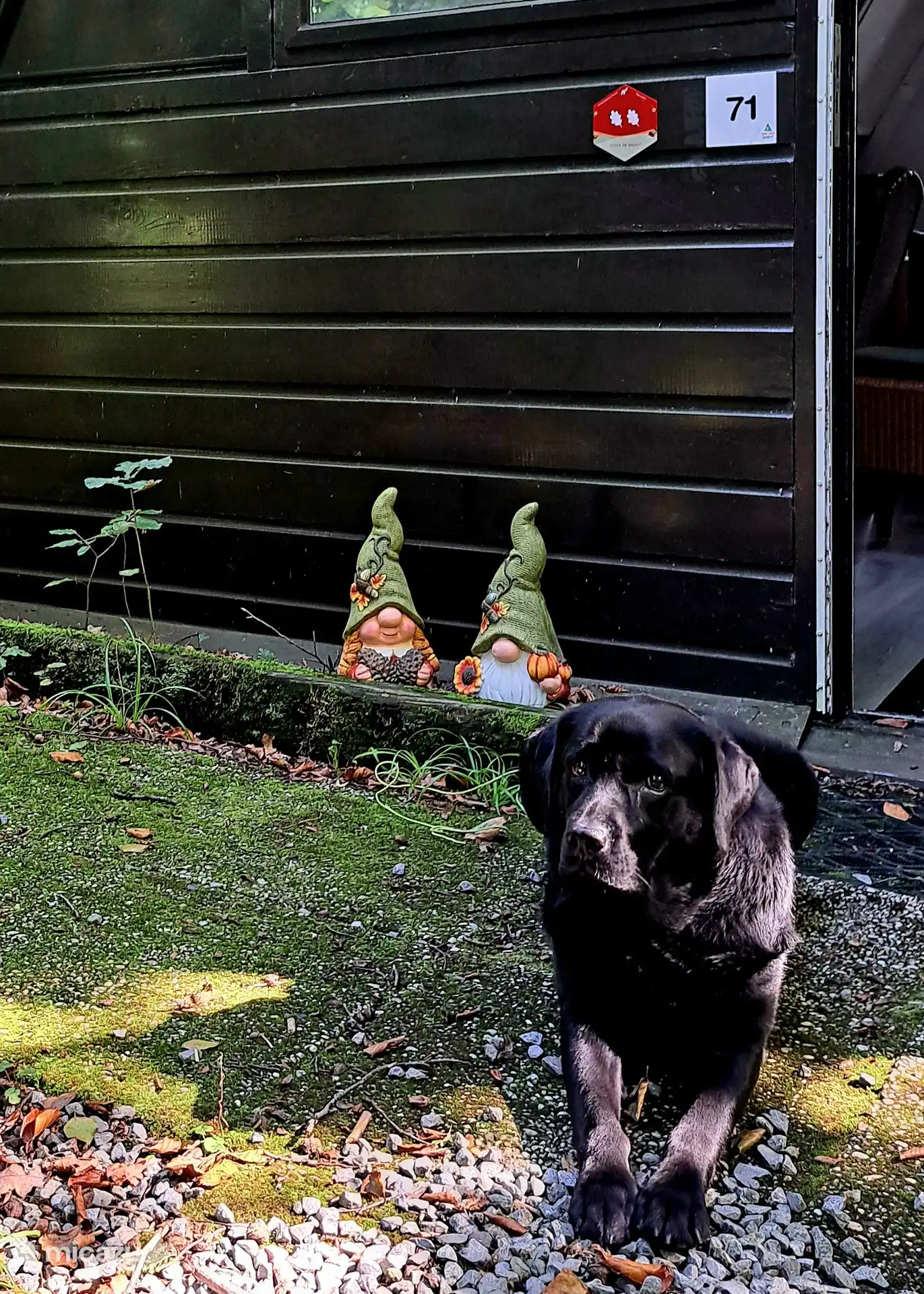 Lon en Lucie Hillekens