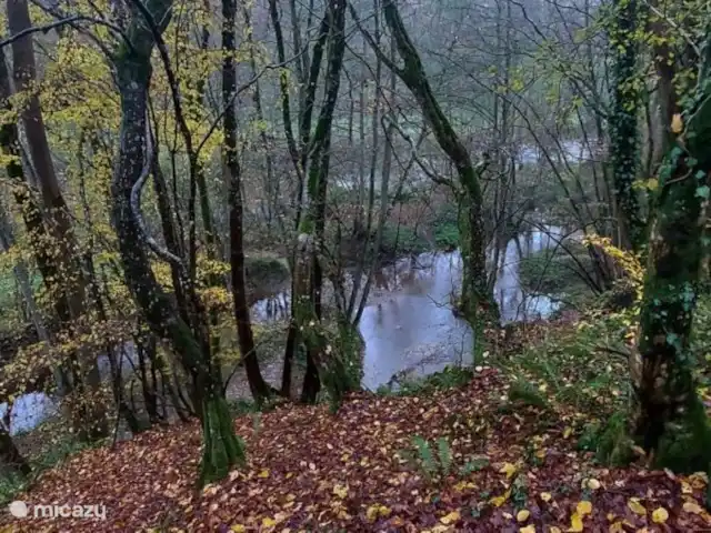 Location de Vacances Belgique, Ardennes, Durbuy, chalet - SilvaRosa Durbuy De nombreuses rivières et plans d’eau à proximité du parc, dont l’Ourthe