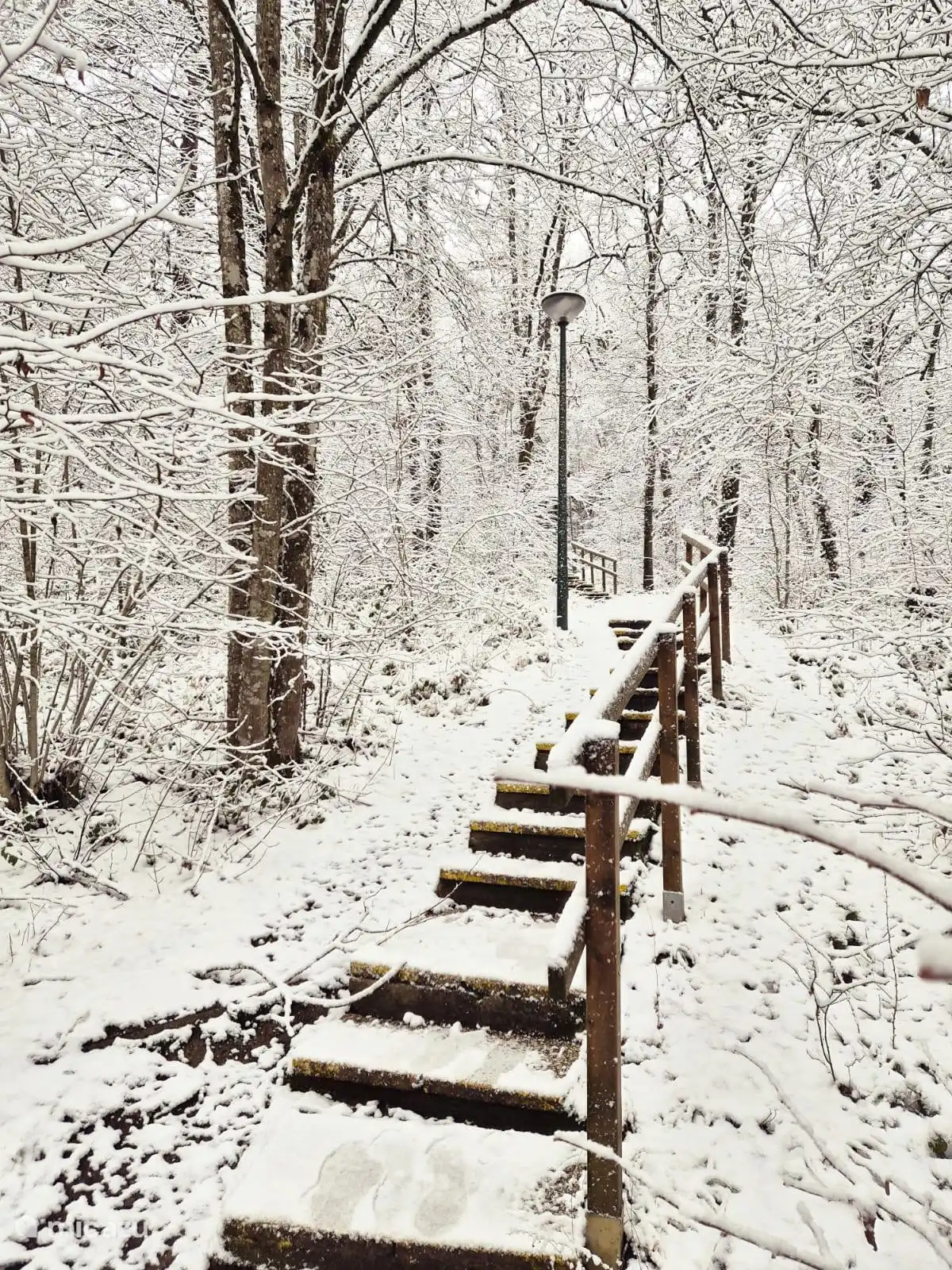 Invierno en Sunclasspark