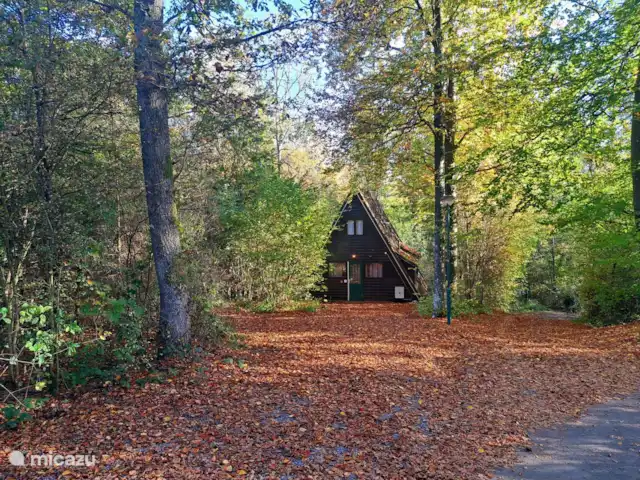 Location de Vacances Belgique, Ardennes, Durbuy, chalet - SilvaRosa Durbuy Emplacement très calme