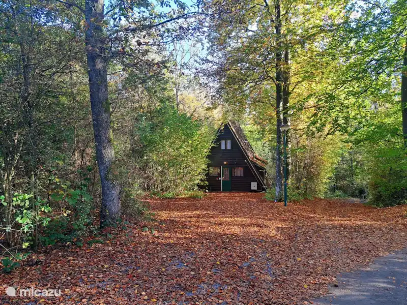SilvaRosa Durbuy huren in België, Ardennen, Durbuy - Chalet SilvaRosa Durbuy huren in België, Ardennen, Durbuy - Chalet