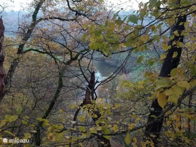 Location de Vacances Belgique, Ardennes, Durbuy, chalet - SilvaRosa Durbuy Un cadre magnifique