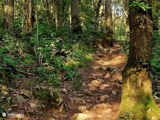 Location de Vacances Belgique, Ardennes, Durbuy, chalet - SilvaRosa Durbuy Une nature magnifique