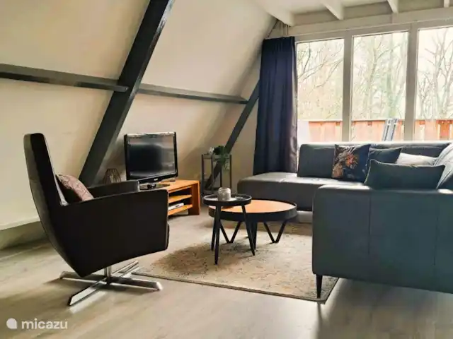 Location de Vacances Belgique, Ardennes, Durbuy, chalet - SilvaRosa Durbuy TV avec Chromecast pour diffuser vos propres services de streaming
