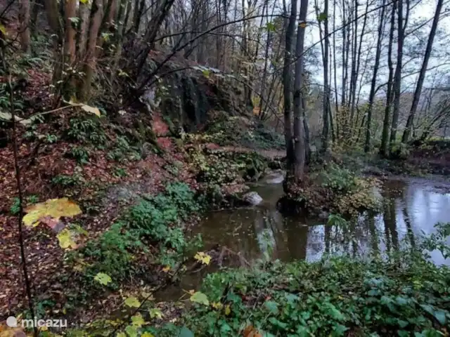Location de Vacances Belgique, Ardennes, Durbuy, chalet - SilvaRosa Durbuy De nombreuses possibilités de randonnées