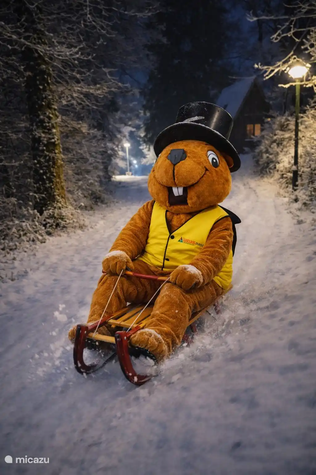 La mascota del parque disfruta de la nieve