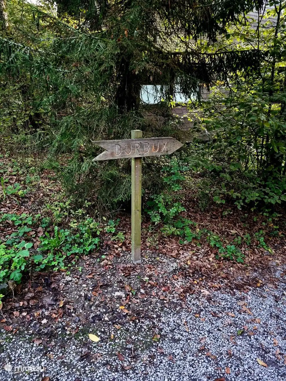 zu Fuß vom Park ins Zentrum von Durbuy