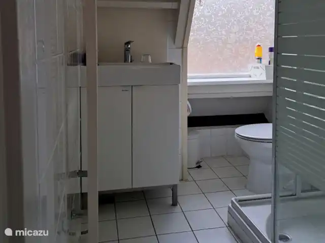 Location de Vacances Belgique, Ardennes, Durbuy, chalet - SilvaRosa Durbuy salle de bain au rez-de-chaussée avec grande douche, lavabo et toilettes