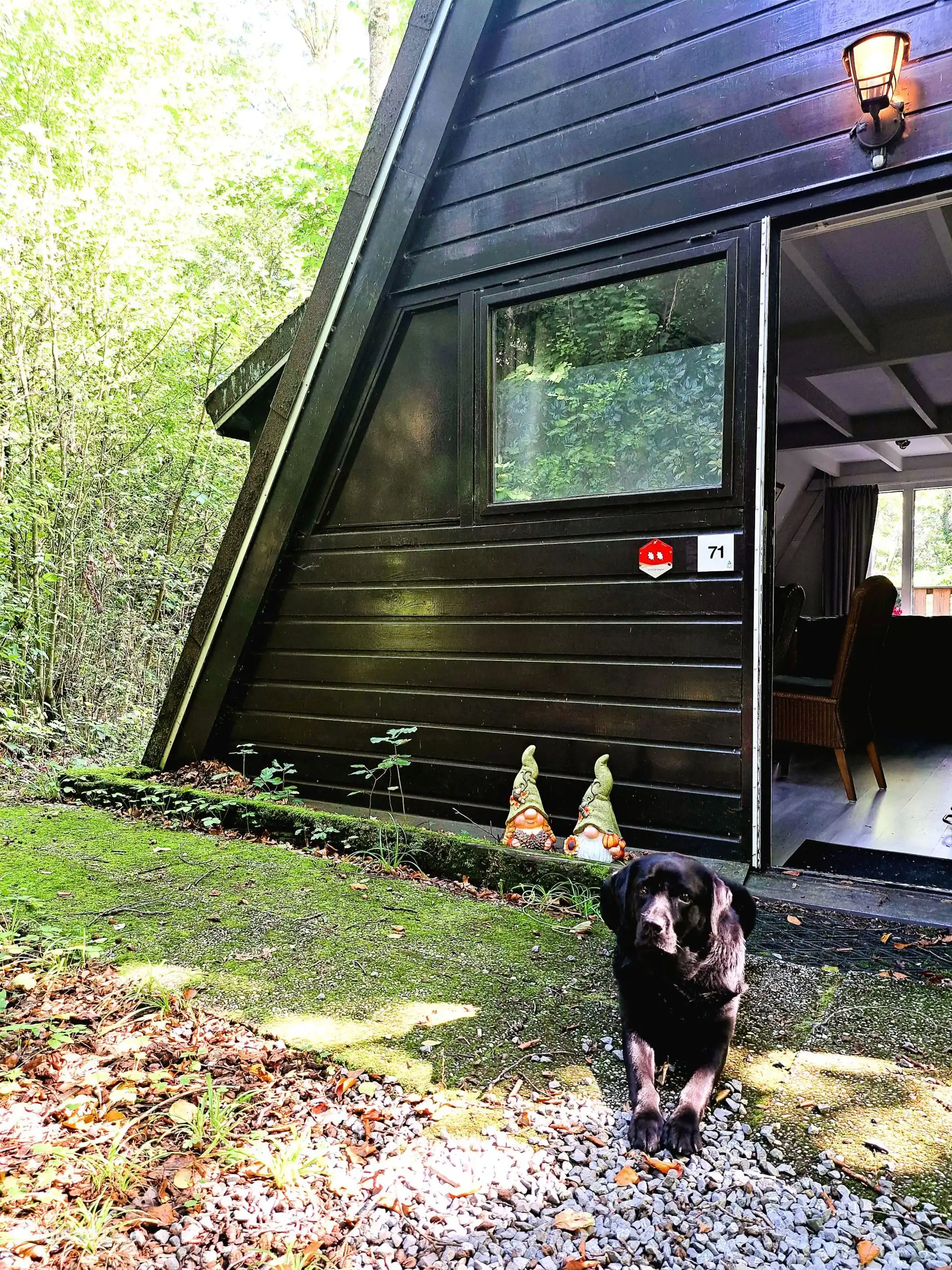 Auch Hunde sind willkommen