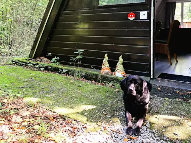 Location de Vacances Belgique, Ardennes, Durbuy, chalet - SilvaRosa Durbuy Les chiens sont également les bienvenus