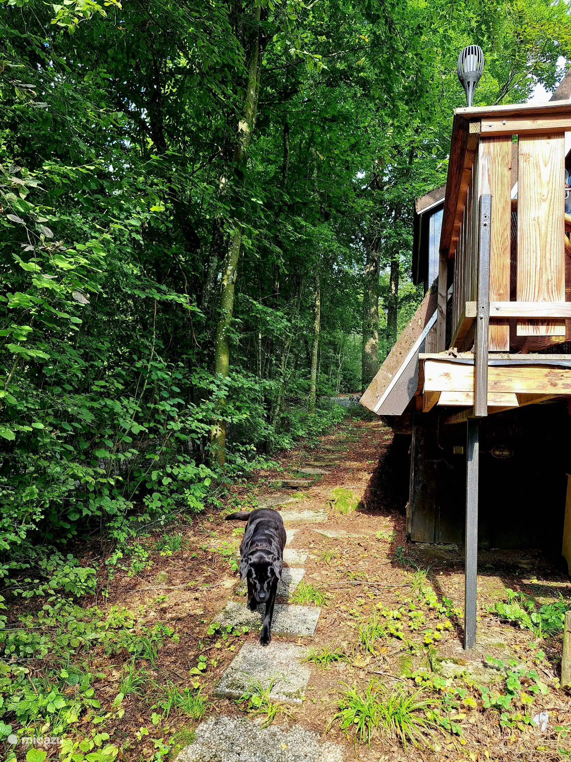 ein zusätzlicher natürlicher Weg zur Terrasse