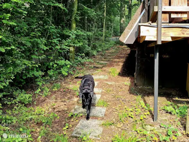 Location de Vacances Belgique, Ardennes, Durbuy, chalet - SilvaRosa Durbuy un chemin naturel supplémentaire vers la terrasse