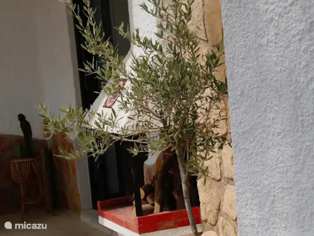 Casa nooit gedacht huren in Spanje, Costa Blanca, Alfáz del Pi - villa Sfeer