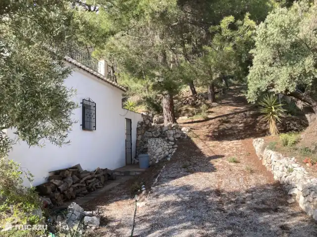 Casa La Serena et Casita del Toro  | Espagne, Andalousie, Cómpeta - maison de vacances La forêt ombragée derrière la maison
