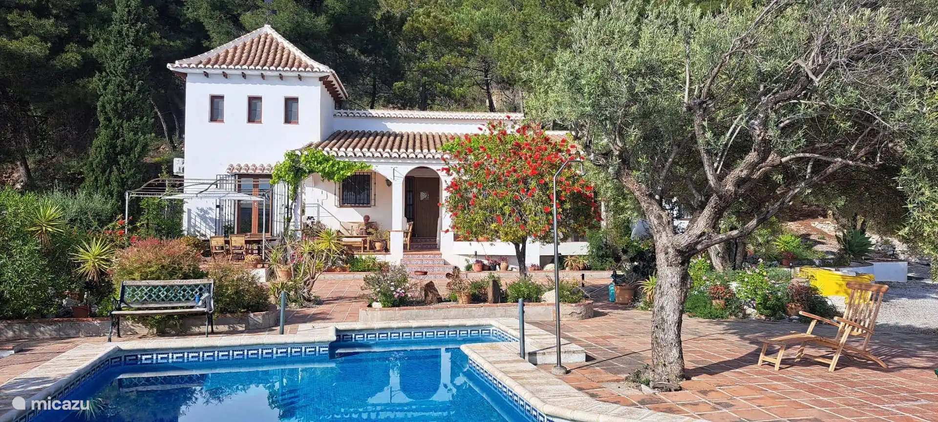 Terrasse avec piscine