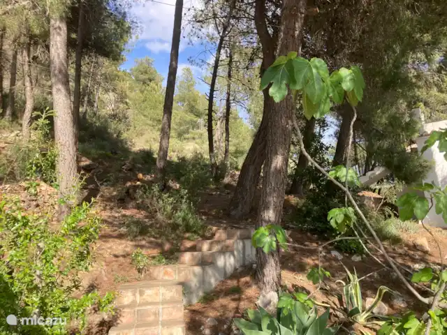 Casa La Serena et Casita del Toro  | Espagne, Andalousie, Cómpeta - maison de vacances En plus de la casita