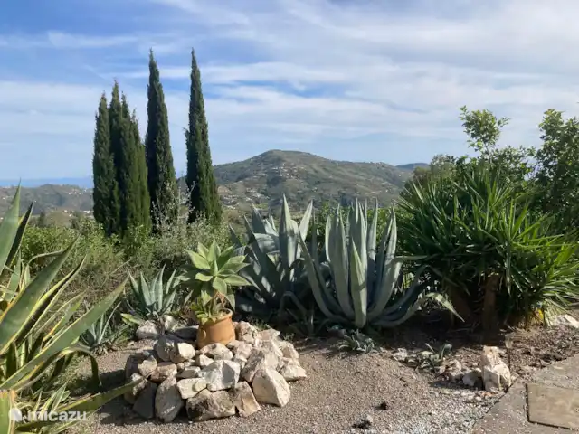 Casa La Serena et Casita del Toro  | Espagne, Andalousie, Cómpeta - maison de vacances L’une des belles vues.