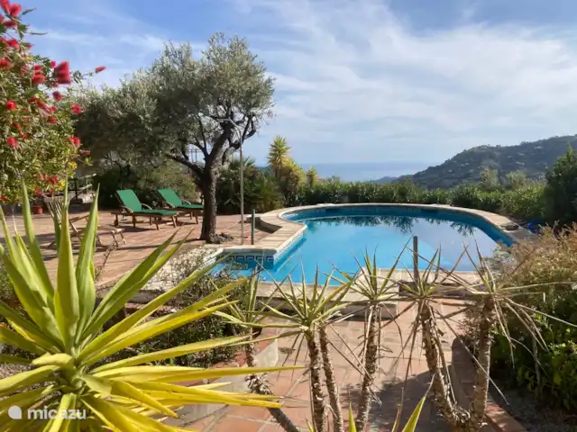 Casa La Serena et Casita del Toro  | Espagne, Andalousie, Cómpeta - maison de vacances Piscine avec terrasse