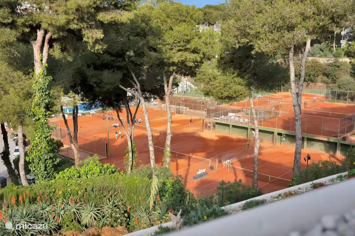 Miraflores Tennis Club, Padel, Bar, Piscine