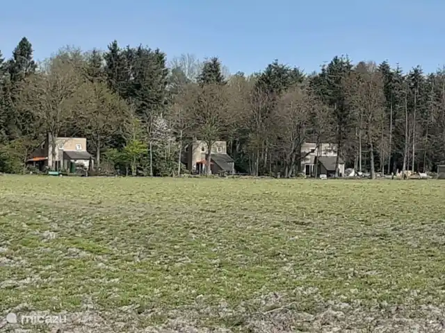 Coeur de fleur de chalet | Pays-Bas, Gueldre, Zelhem - maison de vacances À l’extérieur du parc, vous pouvez voir que les maisons sont éloignées les unes des autres. Il y a un beau sentier de promenade le long du parc et des prairies et à travers la forêt.