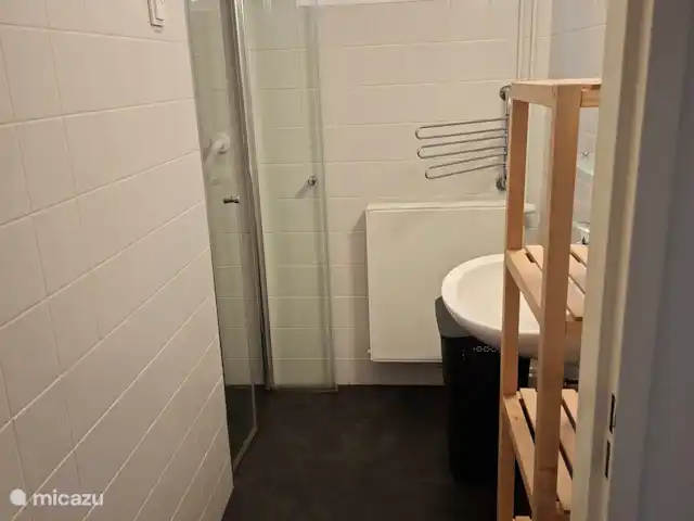 Coeur de fleur de chalet | Pays-Bas, Gueldre, Zelhem - maison de vacances La salle de bain est en bas au rez-de-chaussée avec ventilation mécanique, panier à linge, lavabo et barre d’appui dans la douche