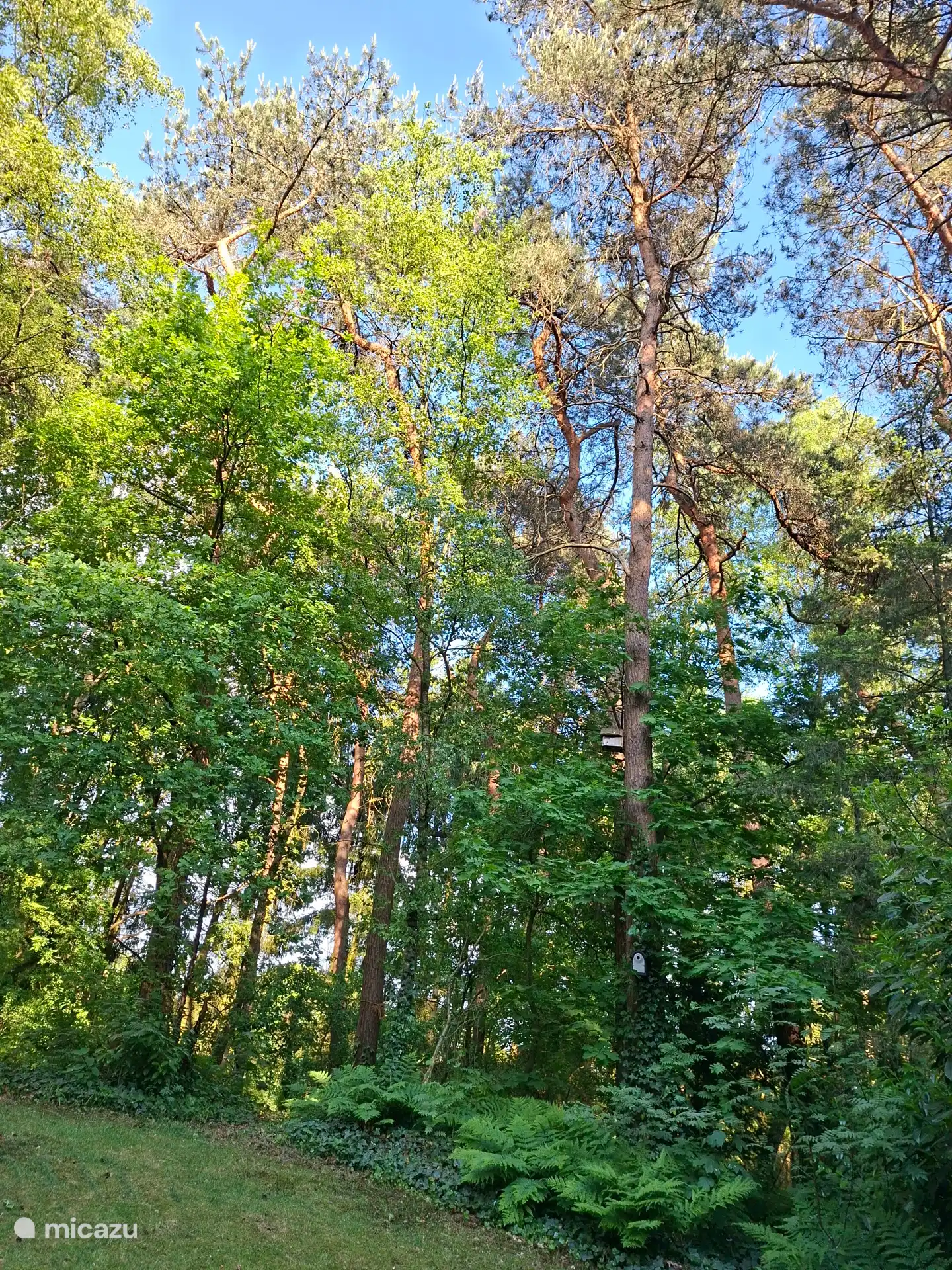 Die goldene Stunde im Herzen des Hauses, wunderschön!