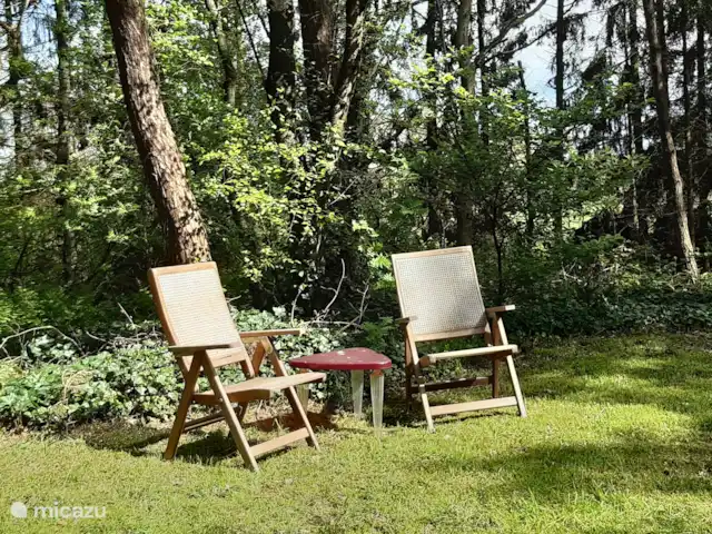 Coeur de fleur de chalet | Pays-Bas, Gueldre, Zelhem - maison de vacances Asseyez-vous à l’extérieur dans le jardin spacieux avec beaucoup d’intimité