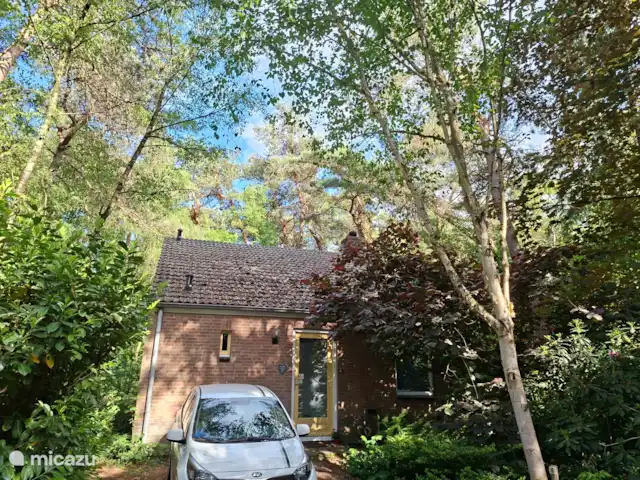 Coeur de fleur de chalet | Pays-Bas, Gueldre, Zelhem - maison de vacances À l’avant de notre chalet fleur coeur, la voiture peut être garée au bungalow.
