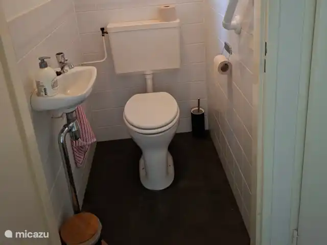 Coeur de fleur de chalet | Pays-Bas, Gueldre, Zelhem - maison de vacances Les toilettes séparées avec poignée et savon pour les mains