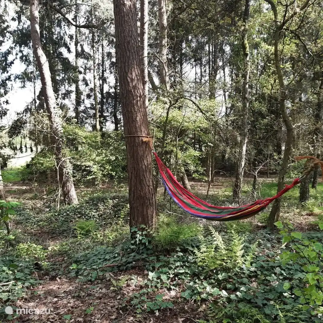 In der Ruhe liegen in dieser Hängematte, es gibt 2 davon, die Seile liegen in 2 Bäumen bereit, die Hängematten sind im Abstellraum mit den Haken befestigt