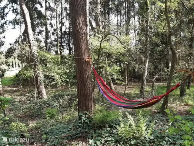 Coeur de fleur de chalet | Pays-Bas, Gueldre, Zelhem - maison de vacances Dans le calme et la tranquillité se trouvent dans ce hamac, il y en a 2, les cordes sont prêtes dans 2 arbres, les hamacs sont dans la salle de stockage avec les crochets attachés