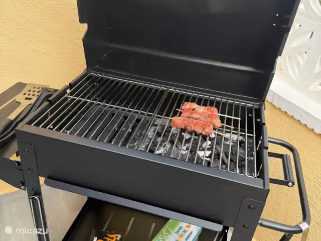 Casa El Sueños Villa Martin  huren in Spanje, Costa Blanca, San Miguel de Salinas - appartement Bbq