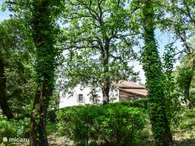 Maison avec piscine privée dans le sud de l’Ombrie | Italie, Ombrie, Amelia - maison de vacances