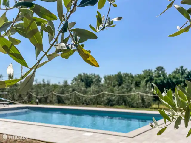 Maison avec piscine privée dans le sud de l’Ombrie | Italie, Ombrie, Amelia - maison de vacances