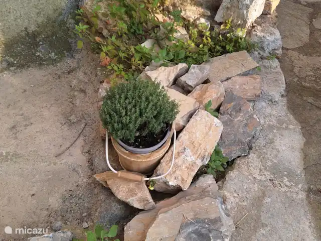 Ca' Armando en Liguria en Italia, Liguria, Erli - casa vacacional Terrazo giardino