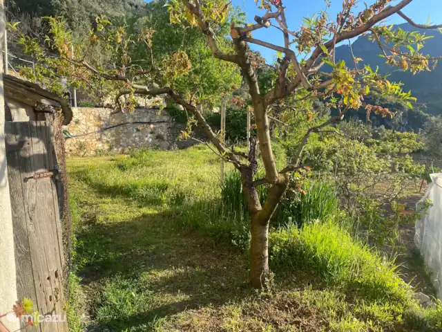 Ca' Armando en Liguria en Italia, Liguria, Erli - casa vacacional Giardino