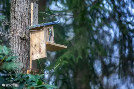 Natuur in alle seizoenen