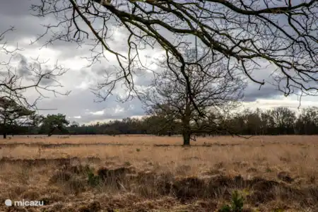 Natuur in alle seizoenen
