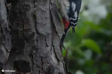 Natuur in alle seizoenen