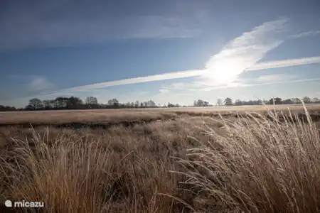 Natuur in alle seizoenen