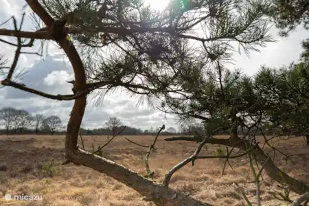 Natuur in alle seizoenen