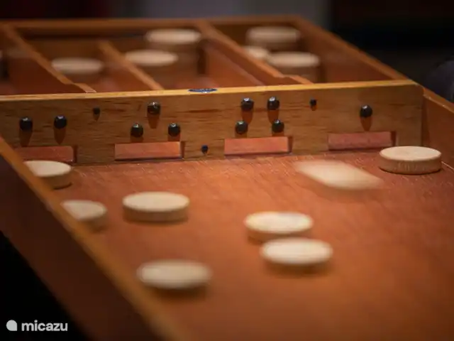 DormyHouse | Pays-Bas, Drenthe, Wateren - maison de vacances La maison dispose d’un jeu de palets pour une soirée de jeu de palets à l’ancienne.