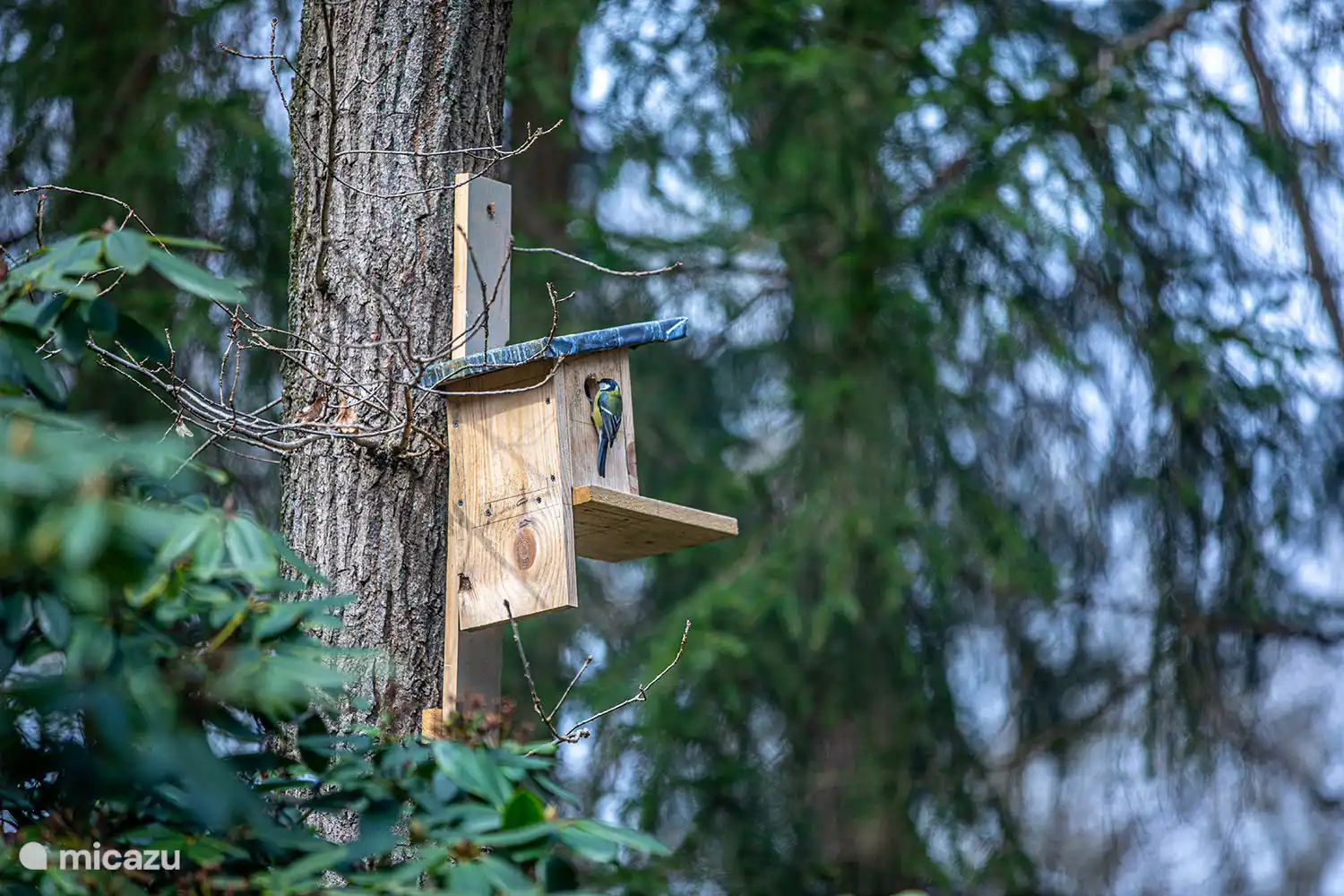 Das Haus ist von Natur umgeben und dieses Vogelhaus ist vom Esstisch aus zu sehen.