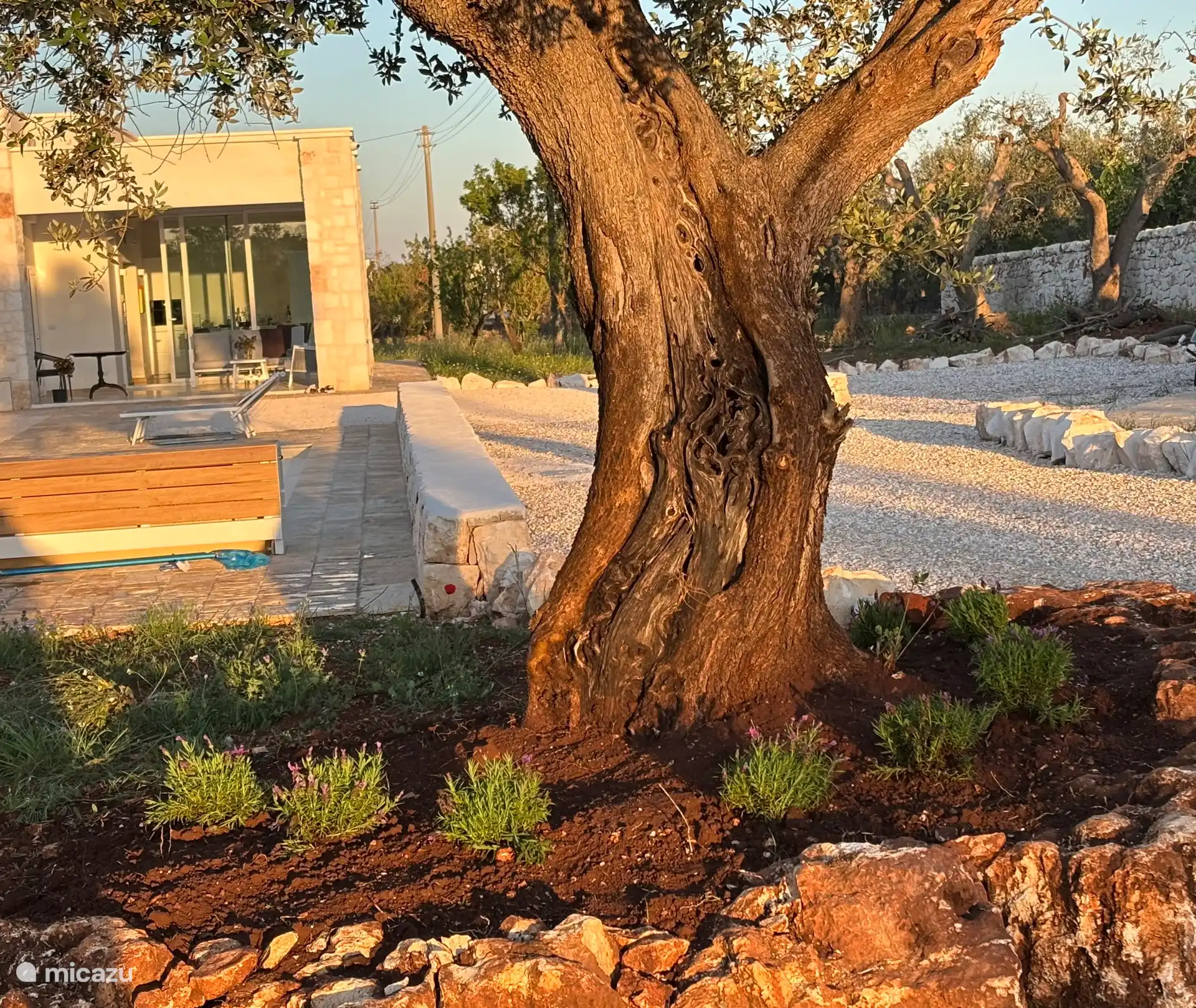 Der wunderschön angelegte Garten