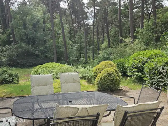 Chalet dans les bois | Pays-Bas, Drenthe, Diever - maison de vacances Terrasse donnant sur la cour arrière