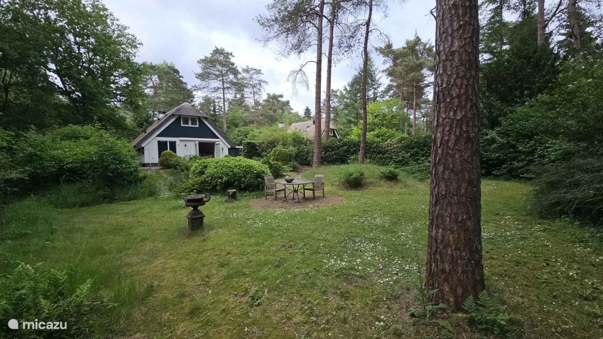 vakantiehuis huren in Nederland, Drenthe, Diever – Huisje in het bos